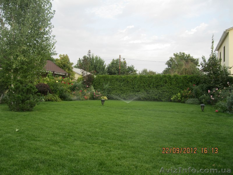 Живопліт. Жива огорожа - <ro>Изображение</ro><ru>Изображение</ru> #1, <ru>Объявление</ru> #1123360