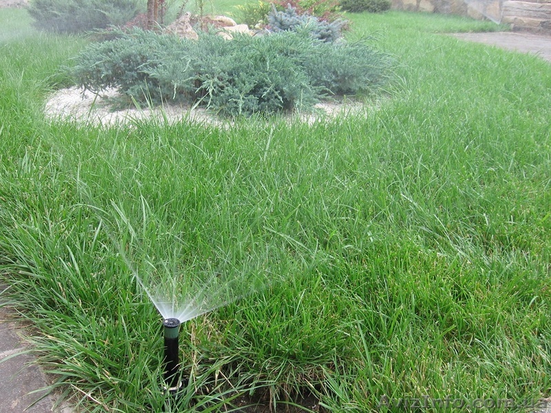 Автоматичний полив , крапельний – монтаж автополиву - <ro>Изображение</ro><ru>Изображение</ru> #1, <ru>Объявление</ru> #1123357