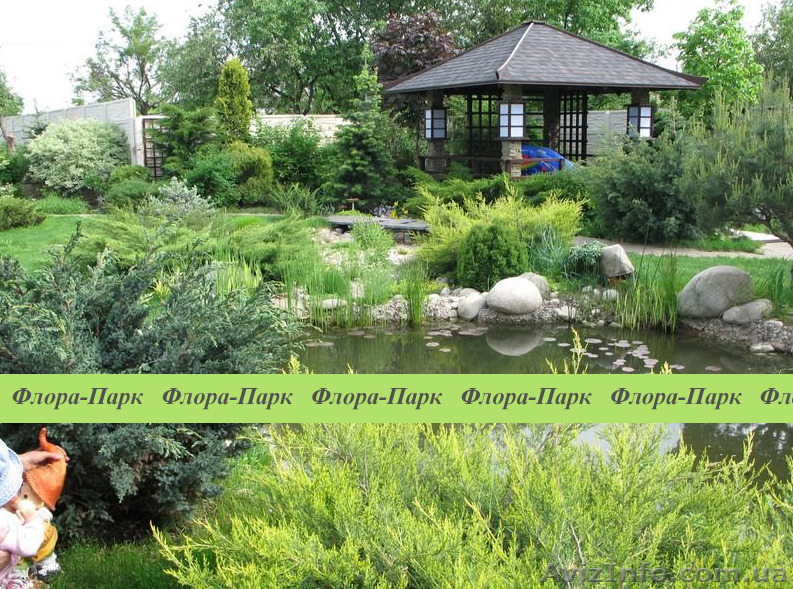 ФЛОРА-ПАРК – ландшафтний дизайн, благоустрій, озеленення - <ro>Изображение</ro><ru>Изображение</ru> #1, <ru>Объявление</ru> #1123355