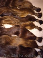 Очень хорошо заплатим за натуральные волосы. - <ro>Изображение</ro><ru>Изображение</ru> #1, <ru>Объявление</ru> #1202977