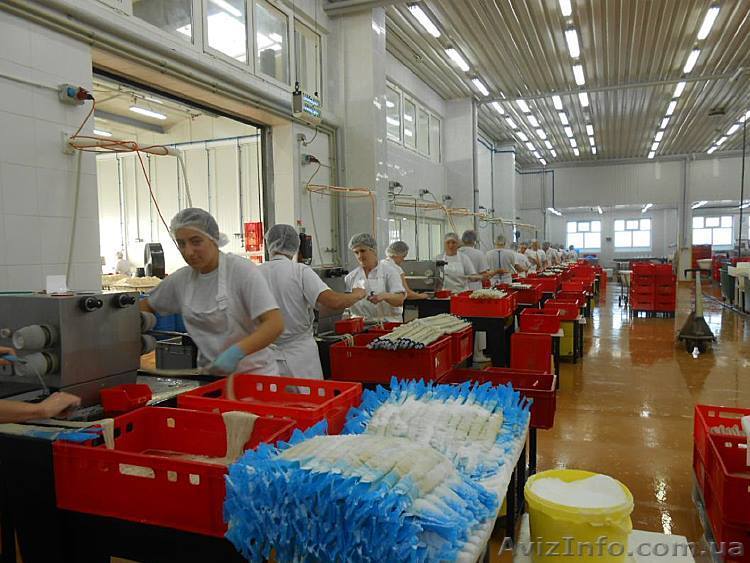 В Польшу требуются рабочие на завод по вторичной обработке свиных кишок - <ro>Изображение</ro><ru>Изображение</ru> #1, <ru>Объявление</ru> #1489391