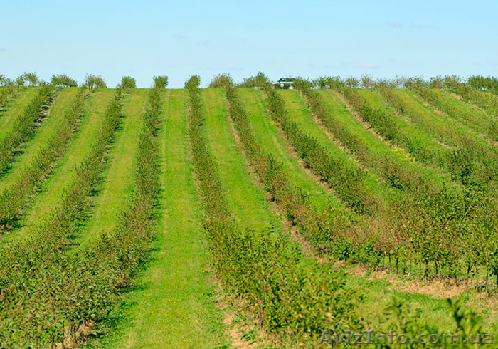 куплю, или арендую земельный участок - <ro>Изображение</ro><ru>Изображение</ru> #1, <ru>Объявление</ru> #1599846