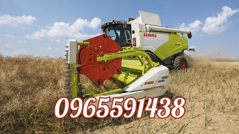 Уборка зерновых зерна,рапса,пшеницы,ячменя,буряка свеклы сахарной,гречки,льна. - <ro>Изображение</ro><ru>Изображение</ru> #1, <ru>Объявление</ru> #1737050