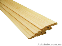 Лиственница сибирская Тернополь Украина - <ro>Изображение</ro><ru>Изображение</ru> #4, <ru>Объявление</ru> #153165