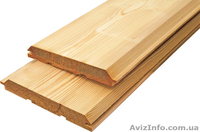 Лиственница сибирская Тернополь Украина - <ro>Изображение</ro><ru>Изображение</ru> #2, <ru>Объявление</ru> #153165