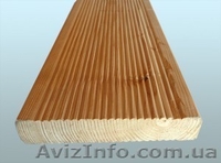 Лиственница сибирская Тернополь Украина - <ro>Изображение</ro><ru>Изображение</ru> #1, <ru>Объявление</ru> #153165