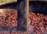 Гастрономический тур по Закарпатье от А до Я 3 дня (24 – 26.08)  - <ro>Изображение</ro><ru>Изображение</ru> #2, <ru>Объявление</ru> #730203