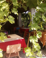 Не дорогой отдых в Лазурном   на море - <ro>Изображение</ro><ru>Изображение</ru> #2, <ru>Объявление</ru> #21841