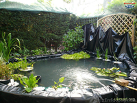 ПВХ изоляция для водоема, пленка для пруда - <ro>Изображение</ro><ru>Изображение</ru> #4, <ru>Объявление</ru> #892003