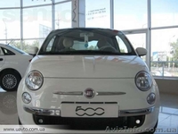 Автосалон Fiat,Alfa Romeo,Lancia в Тернополі - <ro>Изображение</ro><ru>Изображение</ru> #2, <ru>Объявление</ru> #893251