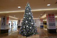 штучні ялинки від 0,5м до 20м. - <ro>Изображение</ro><ru>Изображение</ru> #2, <ru>Объявление</ru> #999463