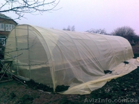 Теплица под пленку "Дачная" 3х6х2 (Экономный вариант) от производителя.. - <ro>Изображение</ro><ru>Изображение</ru> #2, <ru>Объявление</ru> #1240133