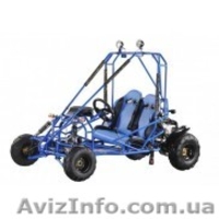 Багги в Украине по доступным ценам. - <ro>Изображение</ro><ru>Изображение</ru> #2, <ru>Объявление</ru> #1301080