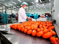  На работу в Польше нужны упаковщики колбасных изделий - <ro>Изображение</ro><ru>Изображение</ru> #3, <ru>Объявление</ru> #1468421