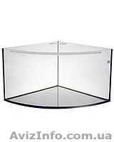 аквариумы ( банки) - <ro>Изображение</ro><ru>Изображение</ru> #2, <ru>Объявление</ru> #1552420