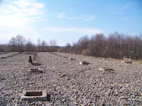 Купити завод для легкої промисловості  - <ro>Изображение</ro><ru>Изображение</ru> #1, <ru>Объявление</ru> #1559260