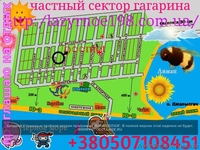 Не дорогой отдых в Лазурном   на море - <ro>Изображение</ro><ru>Изображение</ru> #3, <ru>Объявление</ru> #21841