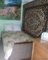 Не дорогой отдых в Лазурном   на море - <ro>Изображение</ro><ru>Изображение</ru> #5, <ru>Объявление</ru> #21841