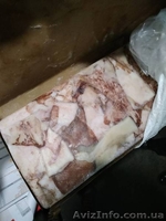 Кальмар тушка свежемороженный - <ro>Изображение</ro><ru>Изображение</ru> #2, <ru>Объявление</ru> #1627718