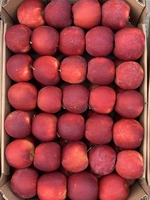 Продам яблоки со своего сада, урожай 2019 г - <ro>Изображение</ro><ru>Изображение</ru> #2, <ru>Объявление</ru> #1670447