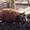 Травоядные свиньи - <ro>Изображение</ro><ru>Изображение</ru> #3, <ru>Объявление</ru> #8472