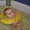 Продам надувной круг для купания малышей от 0 до 2-х лет - <ro>Изображение</ro><ru>Изображение</ru> #3, <ru>Объявление</ru> #124152