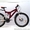 Продам  подростковый  велосипед Тернополь - <ro>Изображение</ro><ru>Изображение</ru> #3, <ru>Объявление</ru> #208601