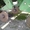 Сеялка John Deere 7200, Б/У, 2005 года выпуска - <ro>Изображение</ro><ru>Изображение</ru> #4, <ru>Объявление</ru> #1243880