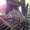 Зерновая сеялка Kverneland Accord, 6 метров, Б/У, 2008 года выпуска - <ro>Изображение</ro><ru>Изображение</ru> #4, <ru>Объявление</ru> #1244513
