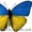 Товары украинского производства от производителя #1284803