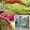 Садовые качели кокон из искуственого ротанга - <ro>Изображение</ro><ru>Изображение</ru> #1, <ru>Объявление</ru> #1313428