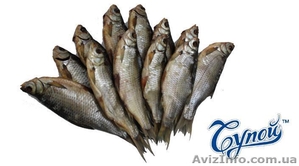 Рыба вяленая, копченая, присервы, консервы