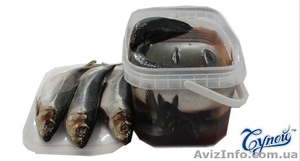 Рыба и рыбная продукция, вяленая конпченая, консервы присервы