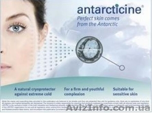 Antarcticine - Защищает кожу и удерживает влагу, 5 мл - <ro>Изображение</ro><ru>Изображение</ru> #1, <ru>Объявление</ru> #1491056