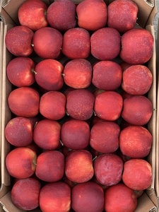 Продам яблоки со своего сада, урожай 2019 г - <ro>Изображение</ro><ru>Изображение</ru> #2, <ru>Объявление</ru> #1670447