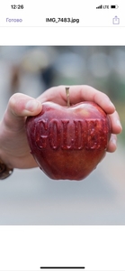 Продам яблоки со своего сада, урожай 2019 г - <ro>Изображение</ro><ru>Изображение</ru> #1, <ru>Объявление</ru> #1670447