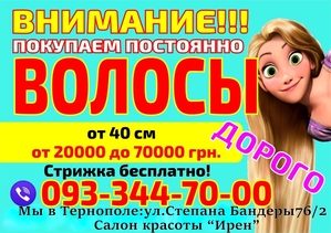 Куплю волосся в Тернополі дорого Продати коси в Тернополі дорого - <ro>Изображение</ro><ru>Изображение</ru> #1, <ru>Объявление</ru> #1705173