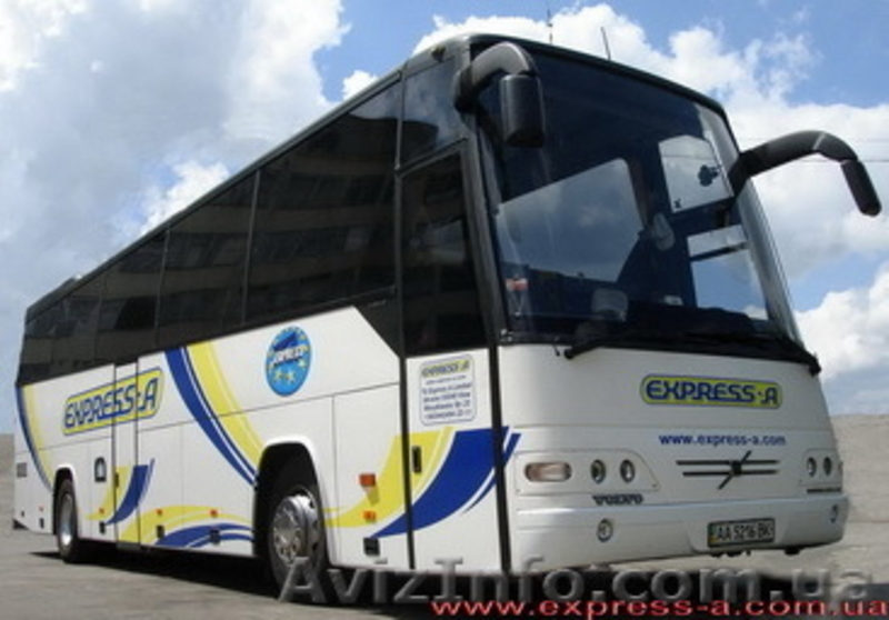 Требуется микроавтобус "спринтер" в аренду. - <ro>Изображение</ro><ru>Изображение</ru> #2, <ru>Объявление</ru> #84639