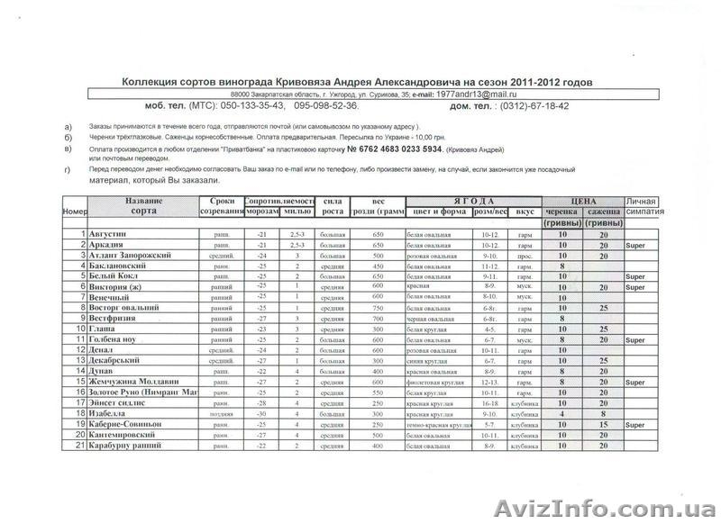 40 сортов винограда - <ro>Изображение</ro><ru>Изображение</ru> #1, <ru>Объявление</ru> #558423