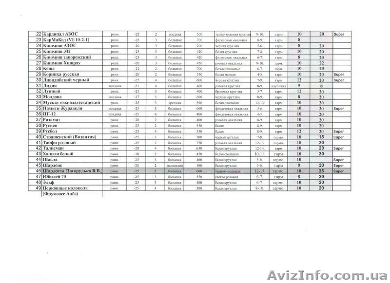 40 сортов винограда - <ro>Изображение</ro><ru>Изображение</ru> #2, <ru>Объявление</ru> #558423