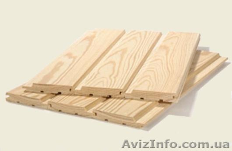 Лиственница сибирская Тернополь Украина - <ro>Изображение</ro><ru>Изображение</ru> #3, <ru>Объявление</ru> #153165