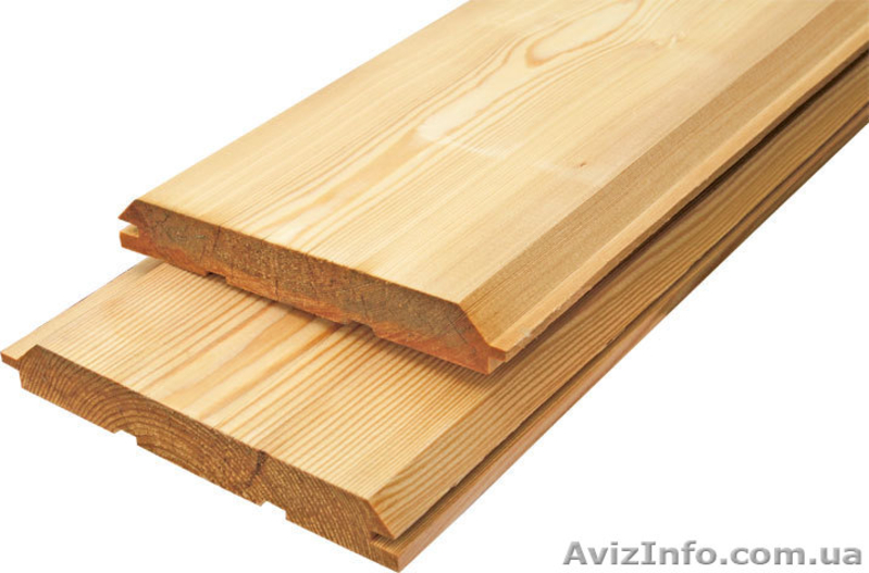 Лиственница сибирская Тернополь Украина - <ro>Изображение</ro><ru>Изображение</ru> #2, <ru>Объявление</ru> #153165