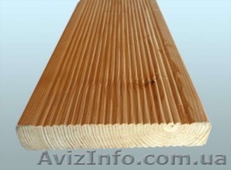 Лиственница сибирская Тернополь Украина - <ro>Изображение</ro><ru>Изображение</ru> #1, <ru>Объявление</ru> #153165