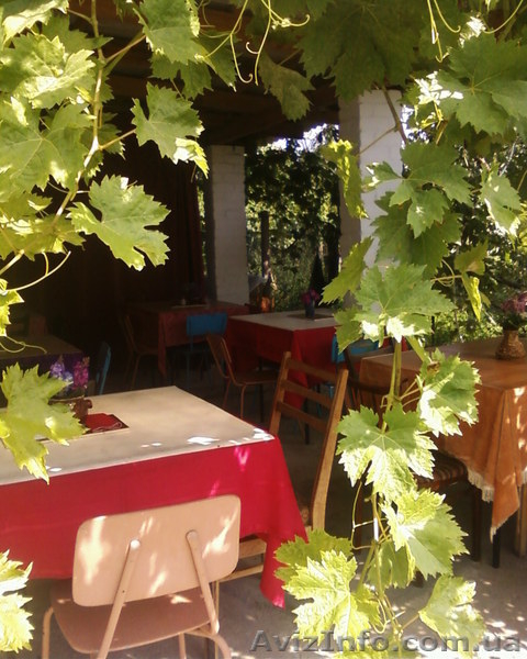 Не дорогой отдых в Лазурном   на море - <ro>Изображение</ro><ru>Изображение</ru> #2, <ru>Объявление</ru> #21841