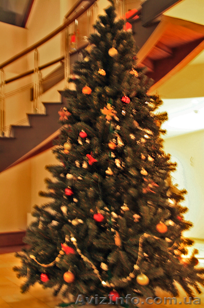 штучні ялинки від 0,5м до 20м. - <ro>Изображение</ro><ru>Изображение</ru> #5, <ru>Объявление</ru> #999463