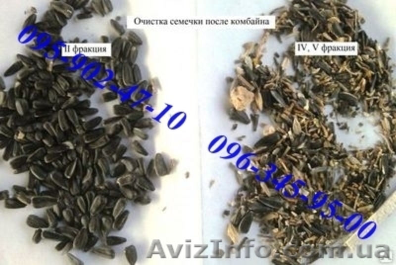 Продам сепаратор зерна (чистка / калибровка) IСМ-5 ТМ ТОР - <ro>Изображение</ro><ru>Изображение</ru> #4, <ru>Объявление</ru> #1230974