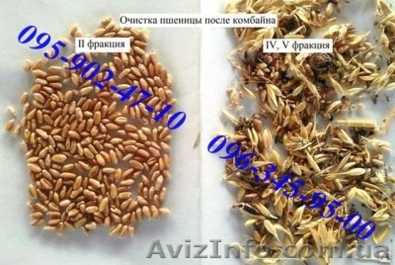 Продам сепаратор зерна (чистка / калибровка) IСМ-5 ТМ ТОР - <ro>Изображение</ro><ru>Изображение</ru> #5, <ru>Объявление</ru> #1230974