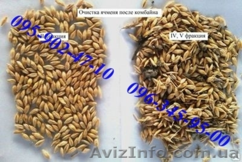 Продам сепаратор зерна (чистка / калибровка) IСМ-5 ТМ ТОР - <ro>Изображение</ro><ru>Изображение</ru> #6, <ru>Объявление</ru> #1230974