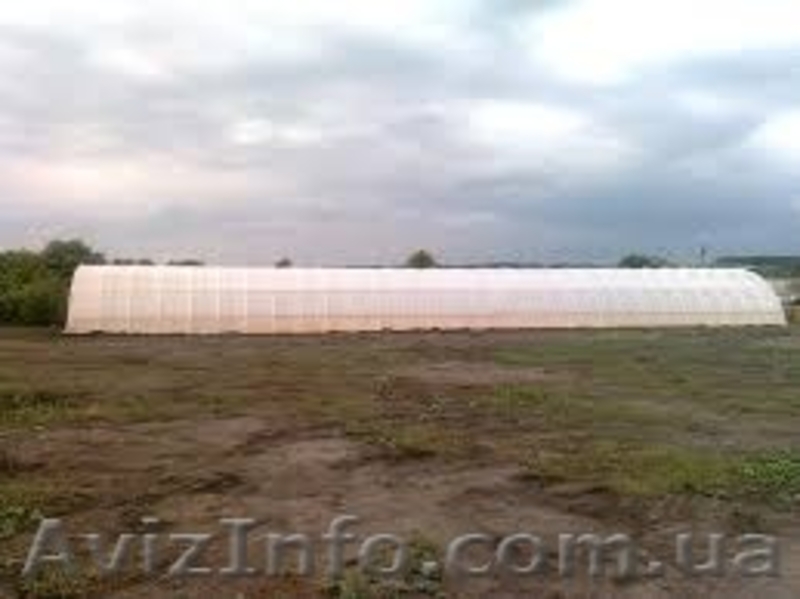 Теплицы арочные  - <ro>Изображение</ro><ru>Изображение</ru> #3, <ru>Объявление</ru> #1510850