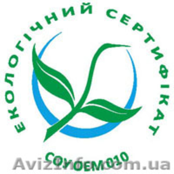 макаронныеи изделия фасованные и весовые - <ro>Изображение</ro><ru>Изображение</ru> #2, <ru>Объявление</ru> #1538460